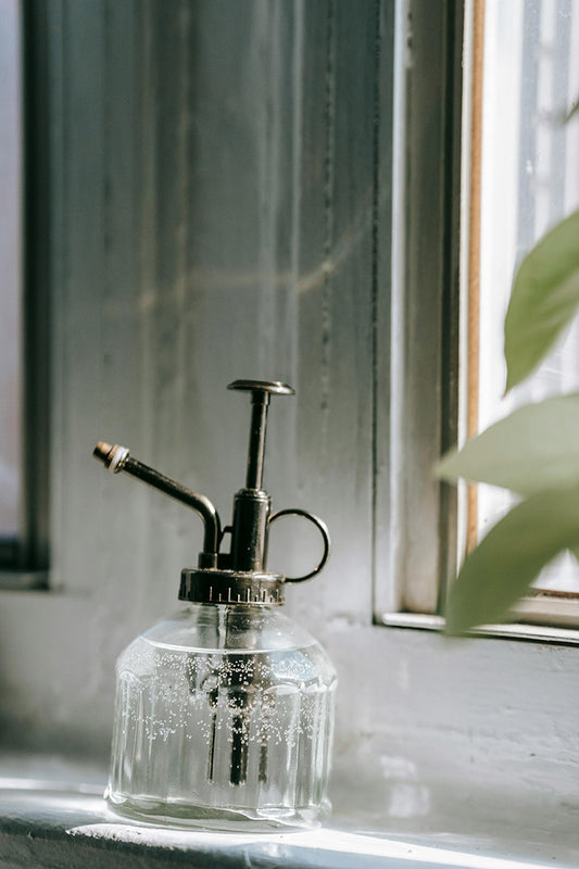 Balancing Humidity in Closed Terrariums: Effective Strategies for Optimal Plant Health
