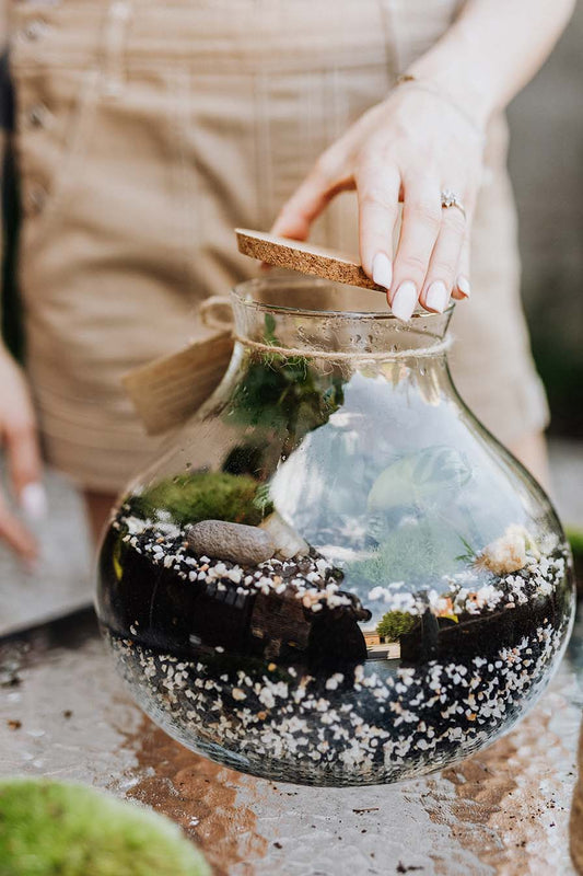 Unraveling the Longevity of Terrariums: Understanding Their Lifespan and Maximizing Durability