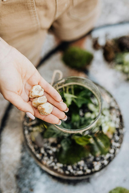 DIY Closed Terrarium Kits: Everything You Need to Get Started