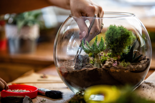Step-by-Step Guide: How to Build Your First Closed Terrarium