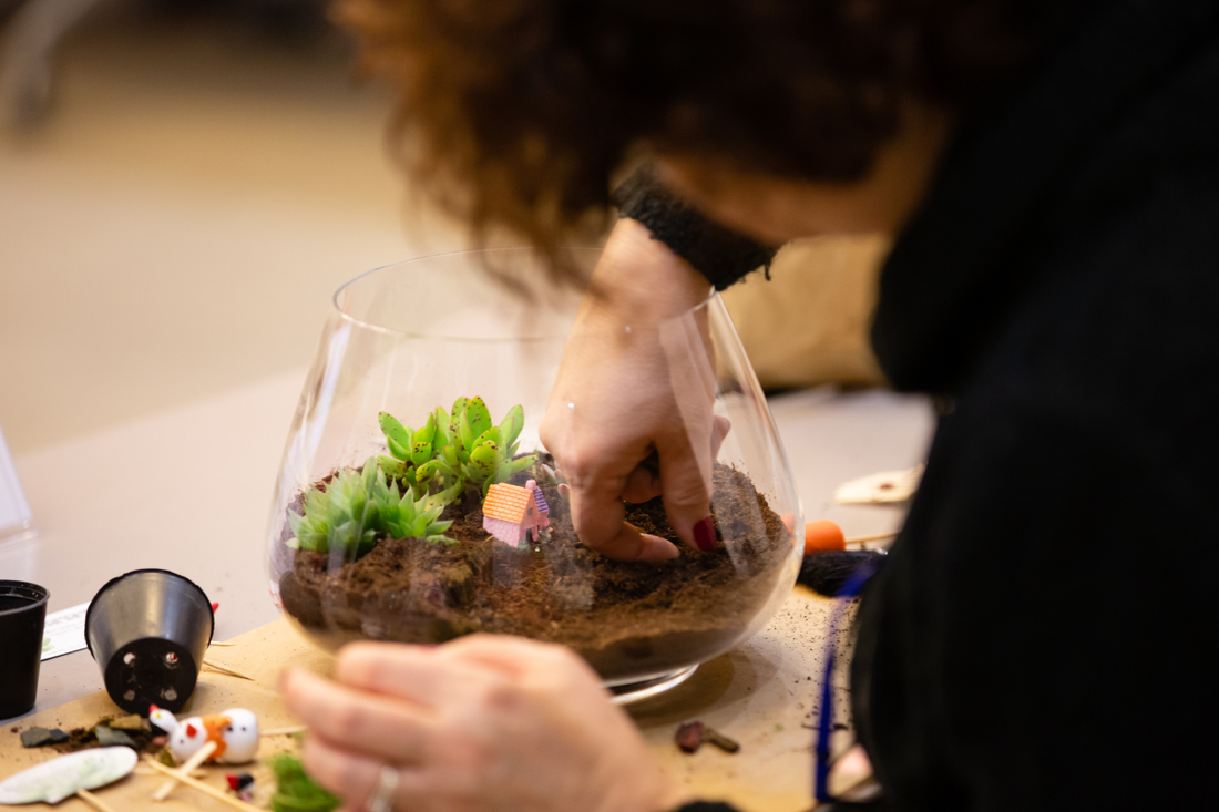 Terrarium Aesthetics: Creative Decoration and Design Ideas