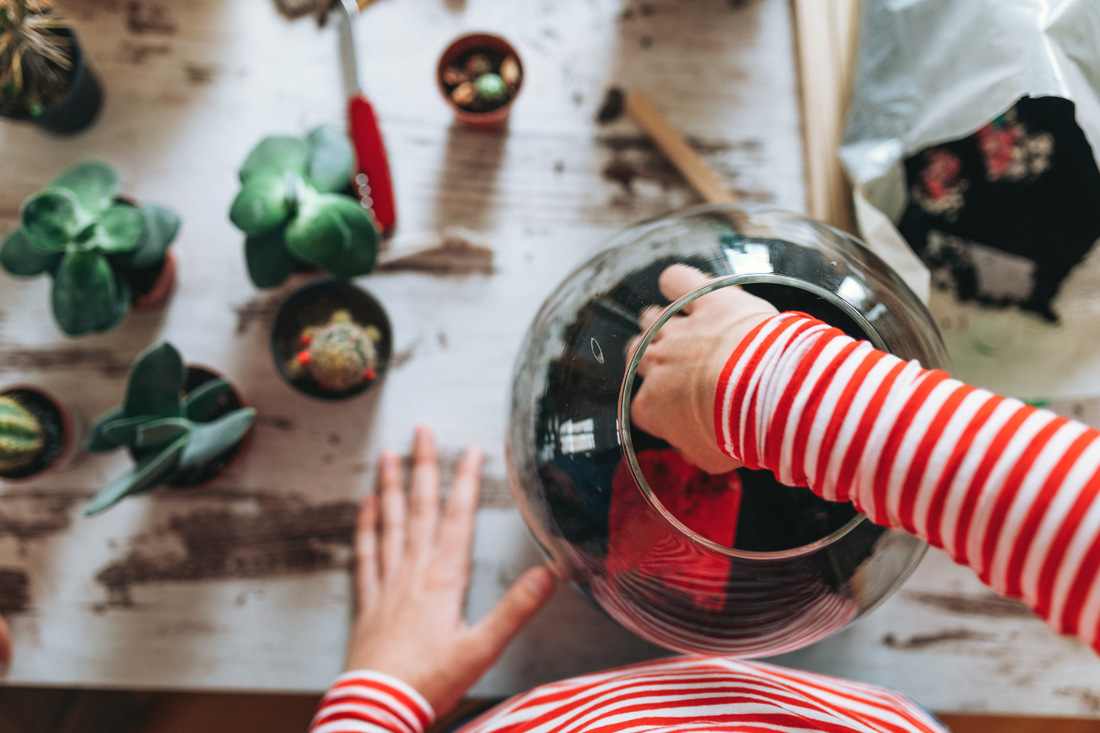 Terrarium Pests and Mold: Prevention and Natural Solutions