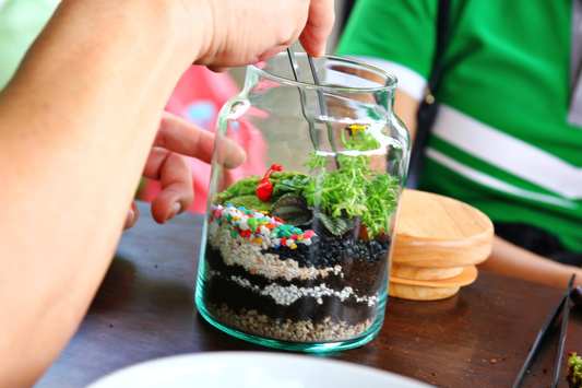 Terrarium Troubleshooting: Common Problems and Easy Fixes