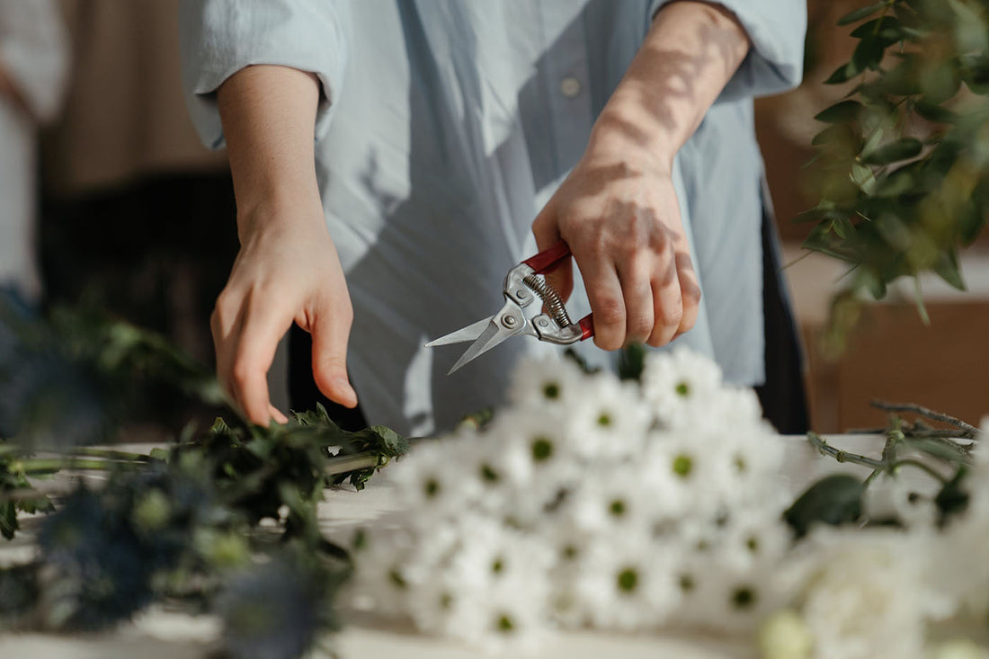 Pruning Plants in a Closed Terrarium: Timing is Everything