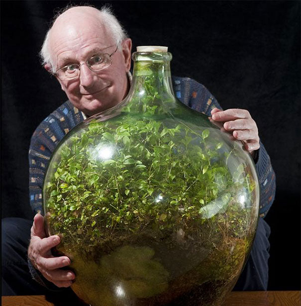 David Latimer's Sealed Terrarium: A Marvel of Nature and Sustainability