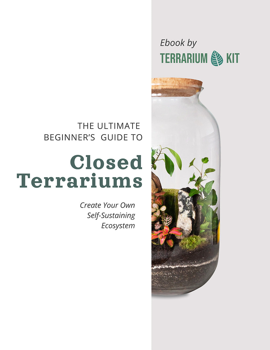 [eBook] The Ultimate Beginner’s Guide to Closed Terrariums (PDF)