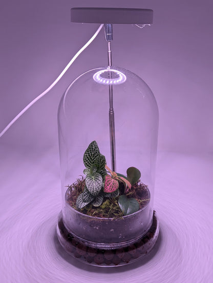 Terrarium Grow Light