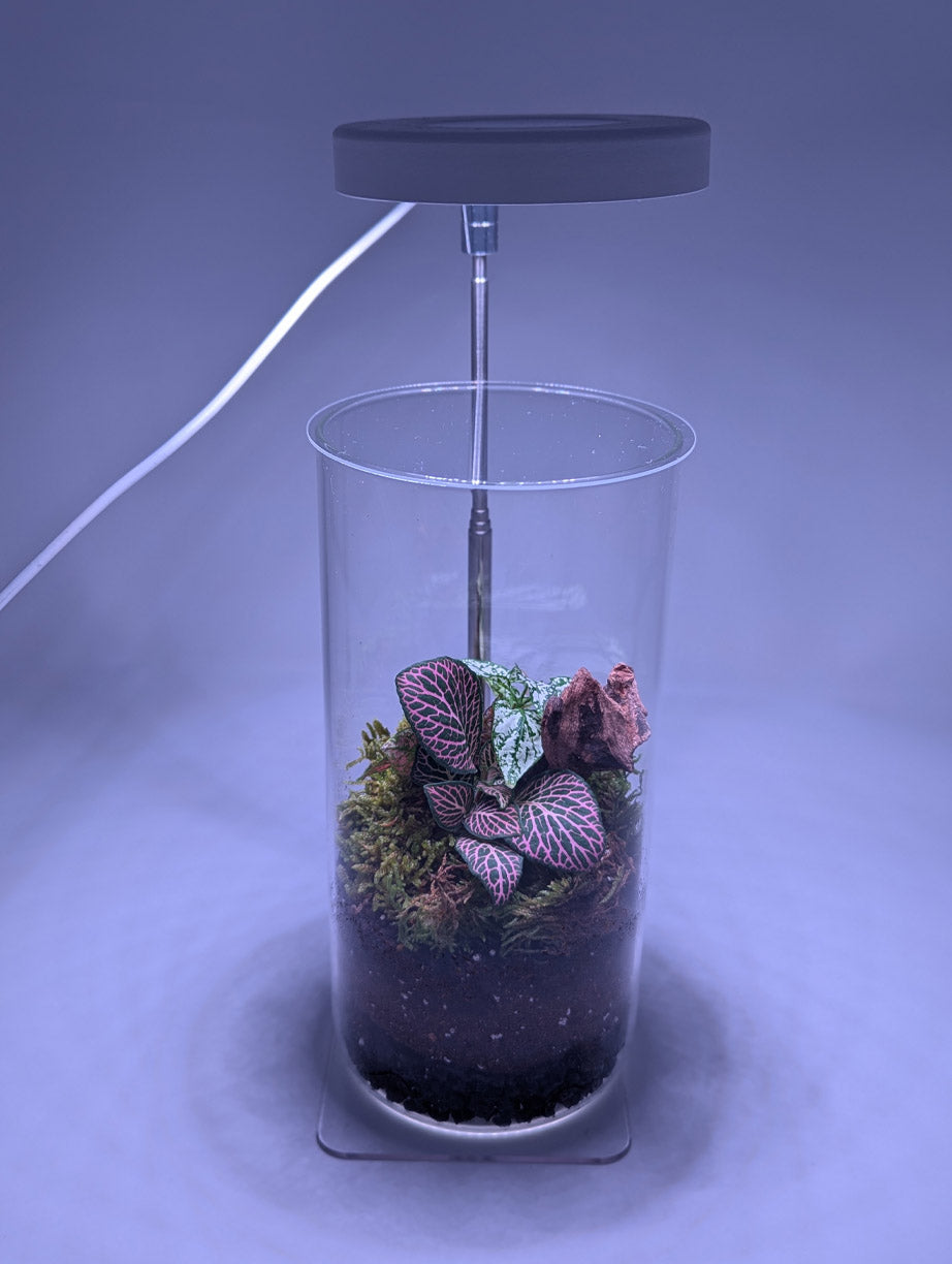 Terrarium Grow Light